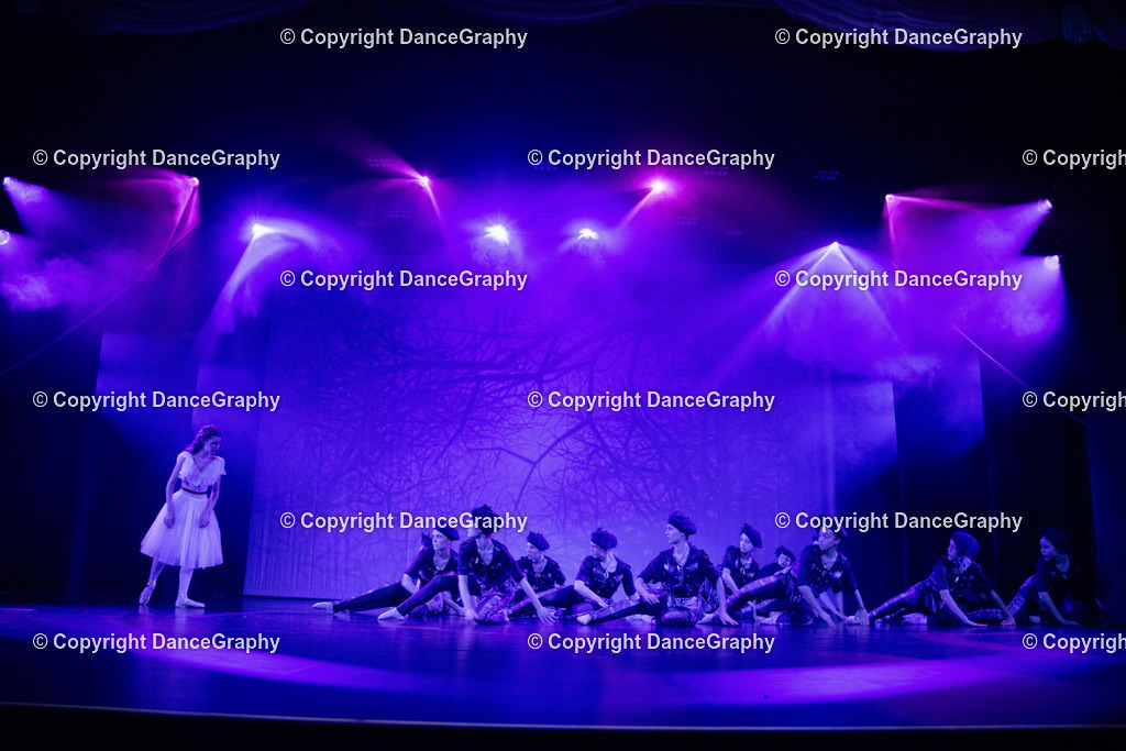 GPHY2767 | DanceGraphy - Realisiert mit Pictrs.com