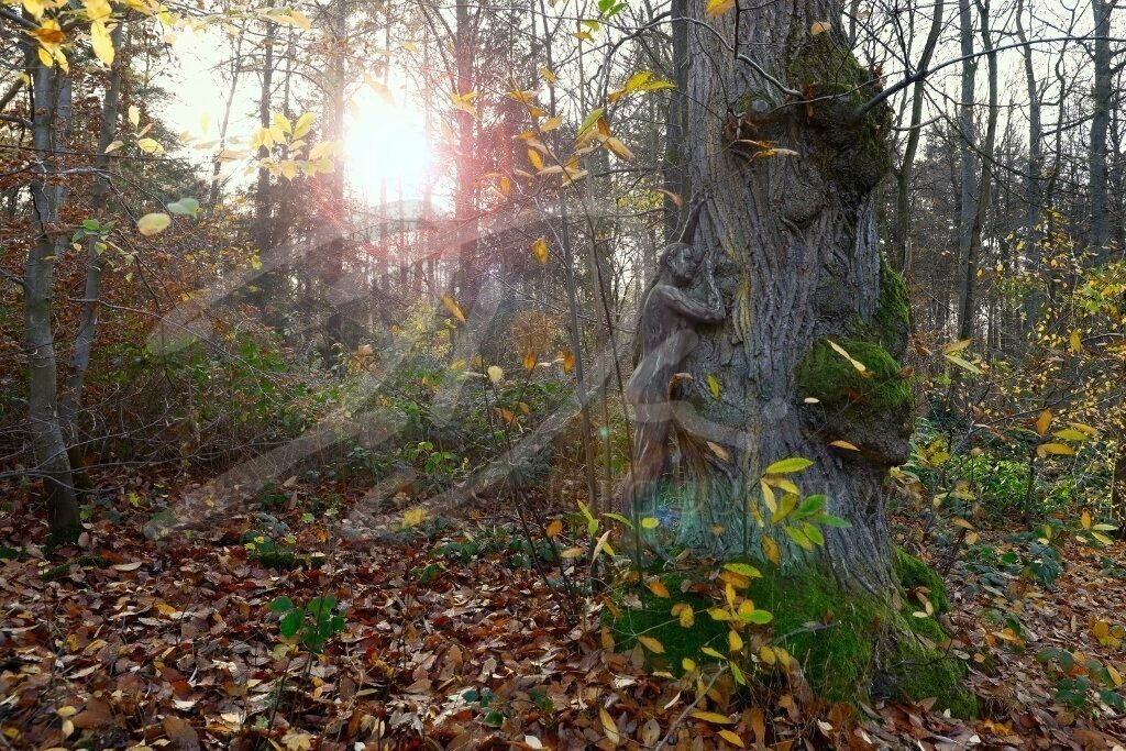 NatureArt-KLÜTLAUB_3184c | Herbst in der Abendsonne | #012 | Modell: Tatjana Heinz | Foto: Tschiponnique Skupin - Realisiert mit Pictrs.com