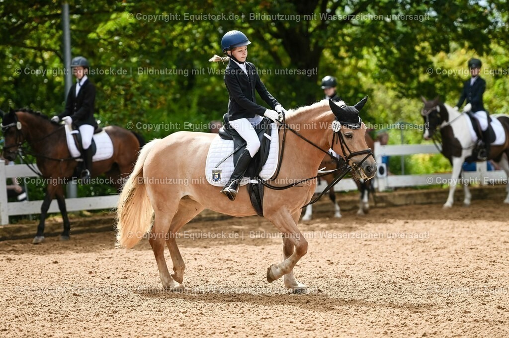 20230716_10-2_Reiter-WB Schritt - Trab - Galopp_0031 | equistock