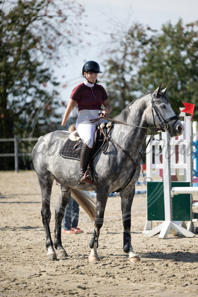 994A1810 | sabrinanicolaifotografie - Realisiert mit Pictrs.com