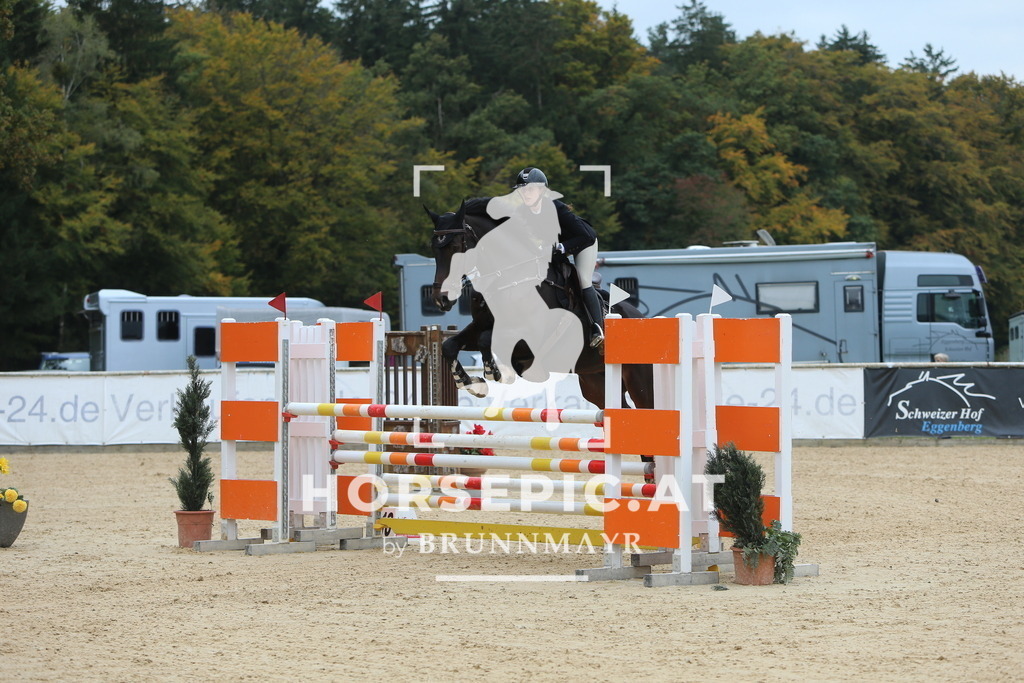 DL2Q7021 | Willkommen bei Brunnmayr - Design & Fotografie – Ihrem Spezialisten für Reitturniere und Pferdeveranstaltungen in Oberösterreich, Salzburg und Bayern! Seit über 17 Jahren sind wir leidenschaftlich dabei.