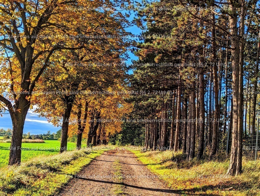 PXL_20231022_135018093-01-EDIT | krollfotografie - Realisiert mit Pictrs.com