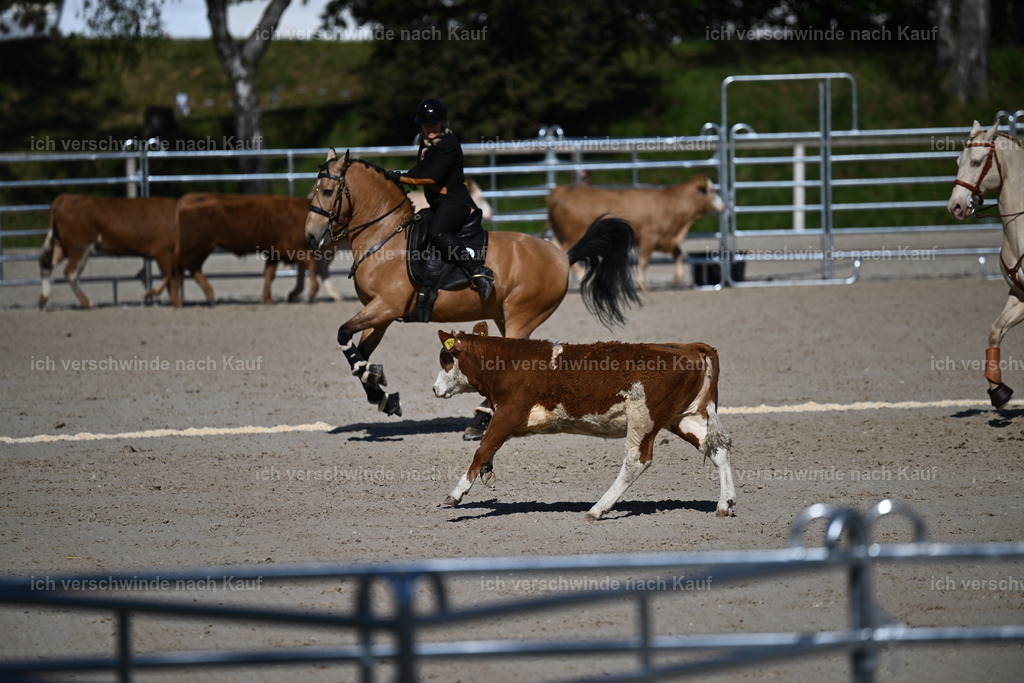 PI26_COW_Sara Landvogt226_7096.JPG | working equitationturnier fotograf videograf stoibphotography marixx film working equitation deutschland reitsport turnierfotografie eventfotografie equestrian events