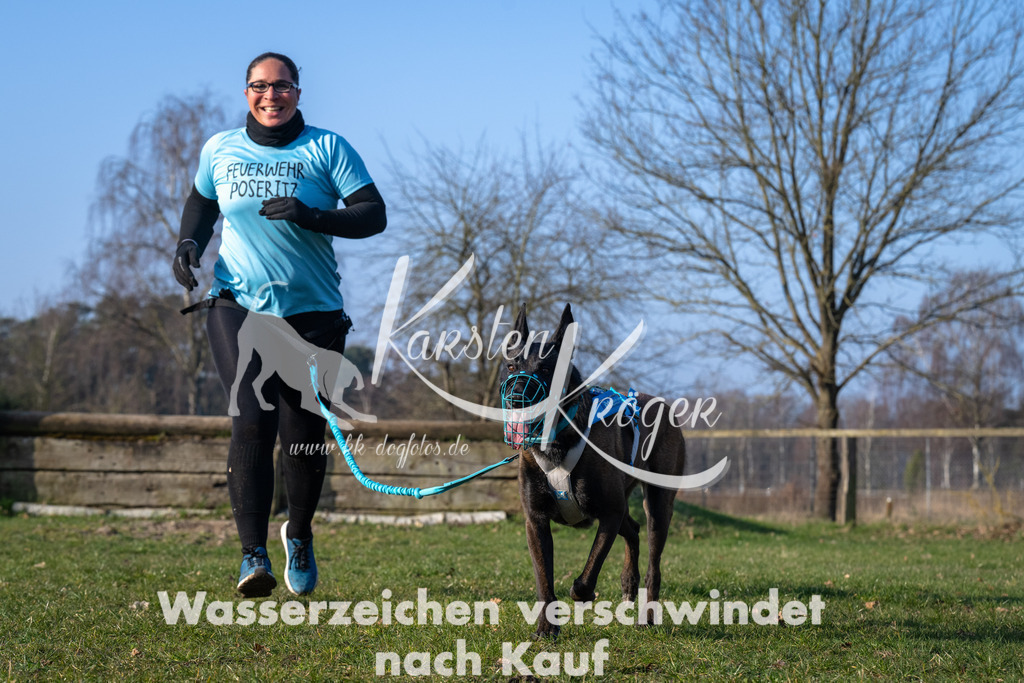 _ZZ92984 | kk-dogfotos