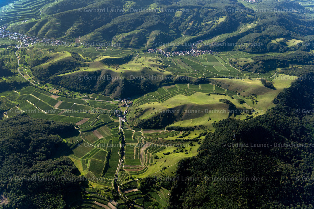 4034233 | Kaiserstuhl bei Oberbergen und Schelingen