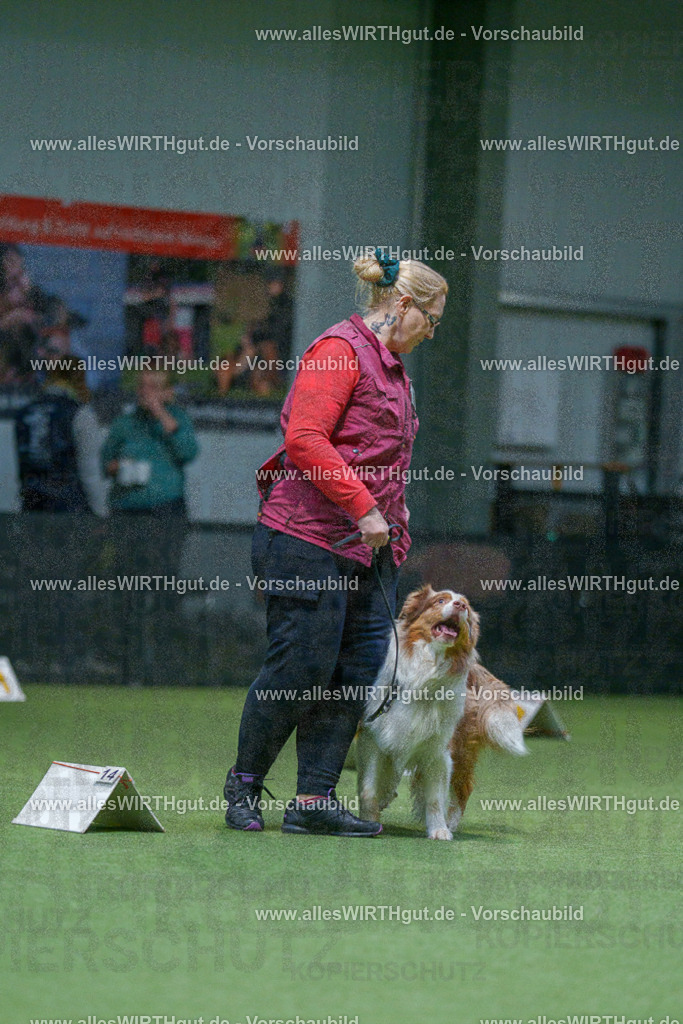 7R500699 | Professionelle Tierfotografie in Mönchengladbach von Daniel Wirth (allesWIRTHgut). Liebevolle & natürliche Bilder von Hunden & Katzen für unvergessliche Erinnerungen.