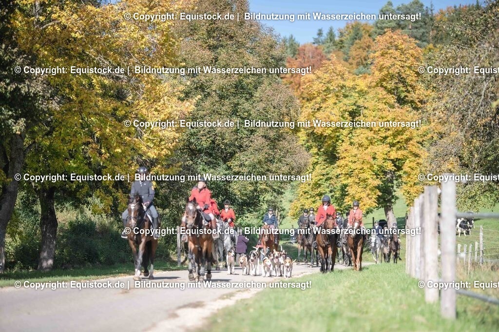 20251011_Jagd-Marbach_0581 | Foto: Thomas Hartig