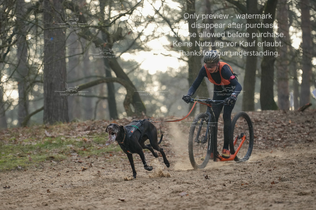 Scooter1-30 | stephaniefillaphotographie - Realisiert mit Pictrs.com