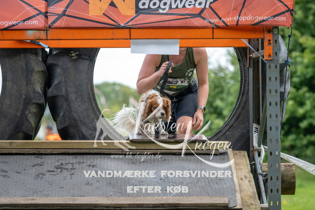 1155_ZZ93256 | kk-dogfotos