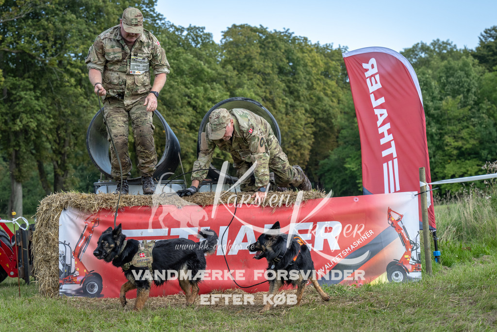 1318_ZZ92952 | kk-dogfotos