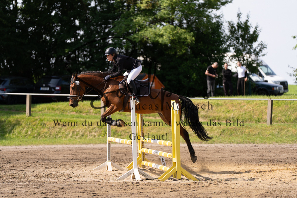A7507379 | Turnier/Reitfotograf