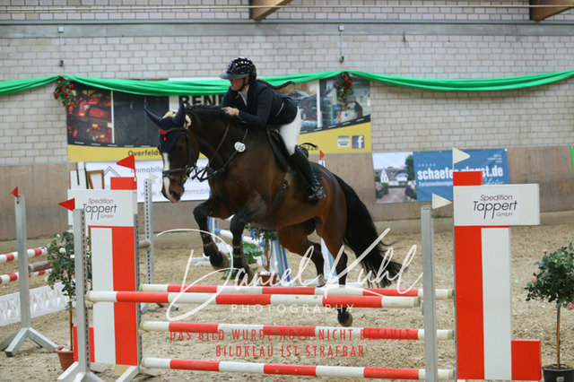IMG_0726 | Turnierfotos kaufen im Webshop von Daniel Kuhl Photography – entdecke professionelle Reitsportfotos aus Turnieren & Events. Hochwertige Turnierbilder online bestellen & sichern. Jetzt Fotos von Reitsportturnieren kaufen!