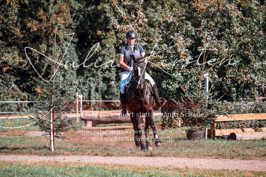 DSC_0599 | Pferde- und Turnierfotografie in Westsachsen. Pferdeportraits, Auftragszeichnungen und intuitive Kunst.