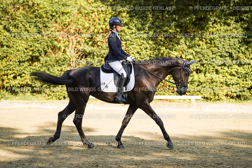 DSC06125 | Pferdegrafie