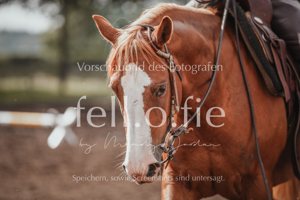 fell.o.fie_mandyjordan_2024_06_02001 | Mandy Klecke Fellfotografie, fell.o.fie Fotografenshop - Realisiert mit Pictrs.com