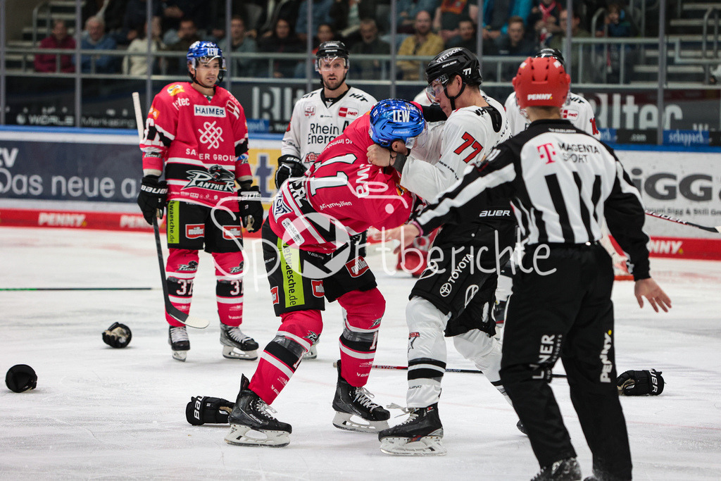 Augsburger Panther - Koelner Haie  | Alexander ROACH (KEC #77) und Adam Payerl (AEV #11) haben einen Kampf auf dem Eis / Fight / Boxing / Boxen / Kaempfen / Kämpfen