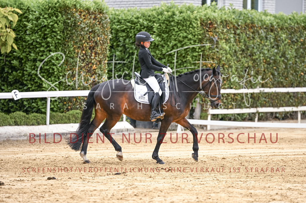 Schugtsche-Aluta25-42.EDressur -339 | Schugtsche Fotografie - Realisiert mit Pictrs.com