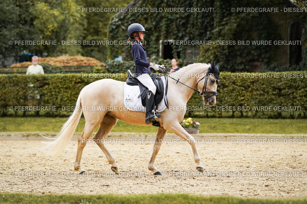 DSC00646 | Pferdegrafie