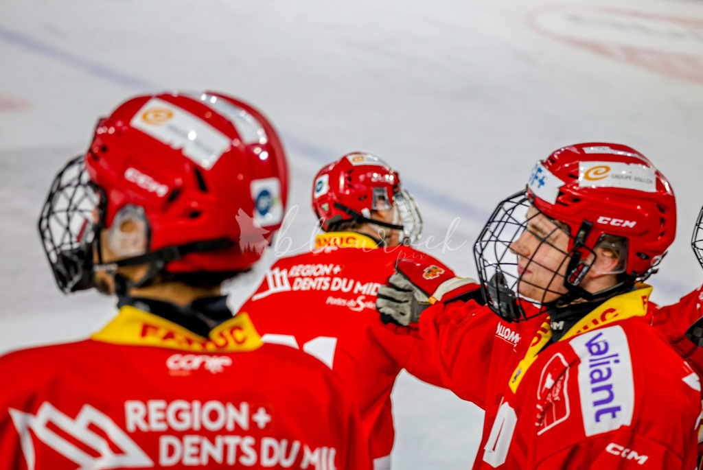 EHCB vs HCD-1428 | Sportbilder, Sportfotograf, Hochzeits- und Eventfotografin, Flugshows, Portraits und Tiershooting, Aviation, Downhill, Nationalleague, Swissleague, International