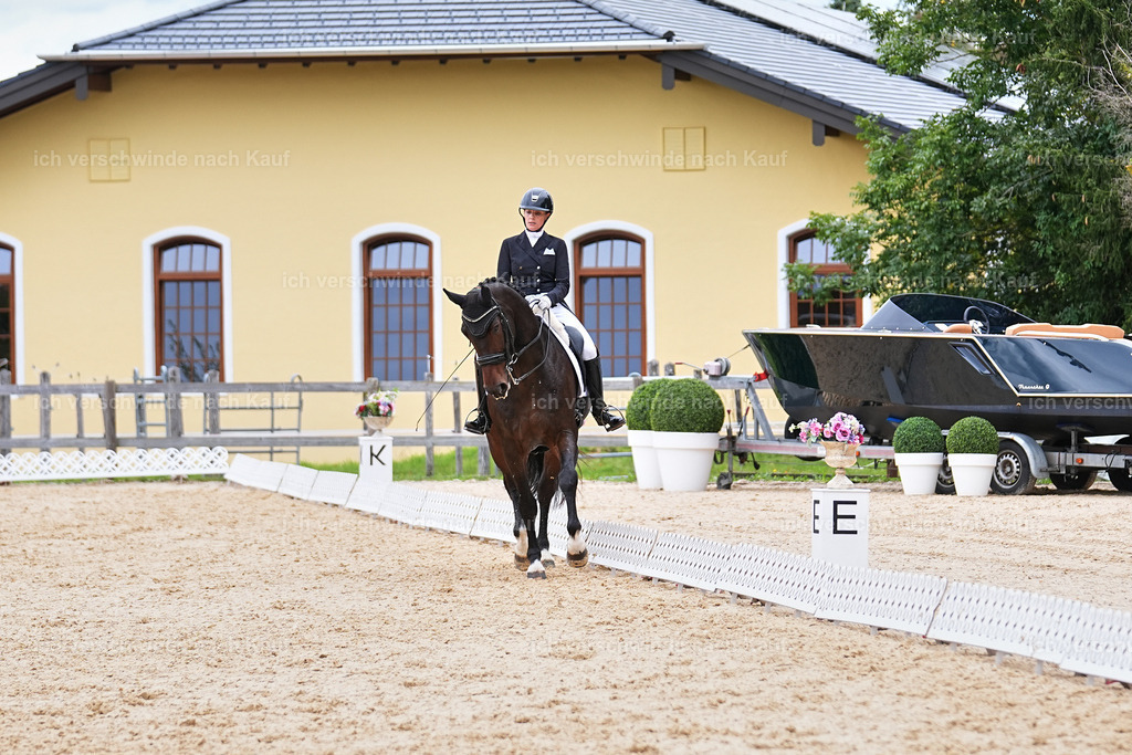 6-113-AMATUER-DRESSUR S_  -Marixx-3750 | working equitationturnier fotograf videograf stoibphotography marixx film working equitation deutschland reitsport turnierfotografie eventfotografie equestrian events