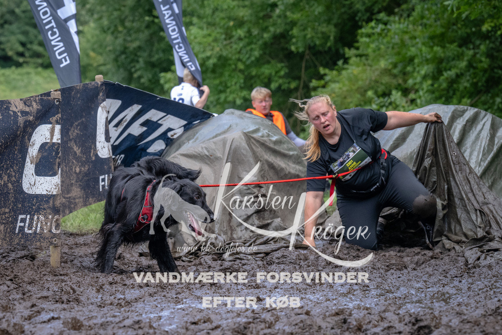 1643_ZZ94282 | kk-dogfotos