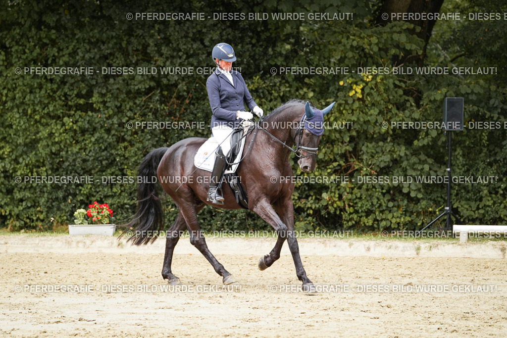 DSC01119 | Pferdegrafie