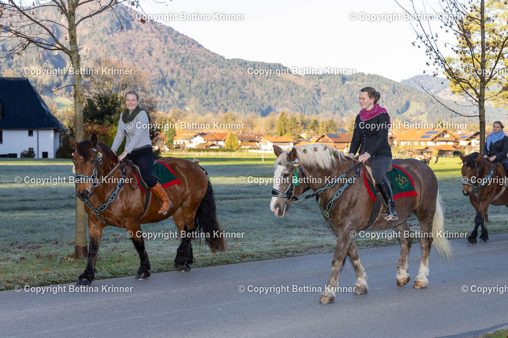 LL24-95 | foto-bettina-krinner - Realisiert mit Pictrs.com