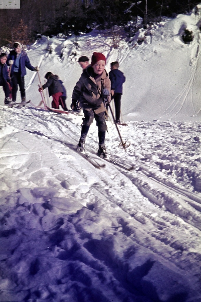 Winterschule 12 | Fotoblog Schwarzwald, Foto Blog Wiesental, Pfaffenberg, Winterzauber, Zeller Bergland, Zell im Wiesental, Fotoblog Wiesental, Landschaftsfotos, Bilder Wiesental, Natur, Naturbilder, Fastnacht, Zeller Fastnacht, Zeller Fasnacht, Zeller Bergland, Belchen, - Realisiert mit Pictrs.com