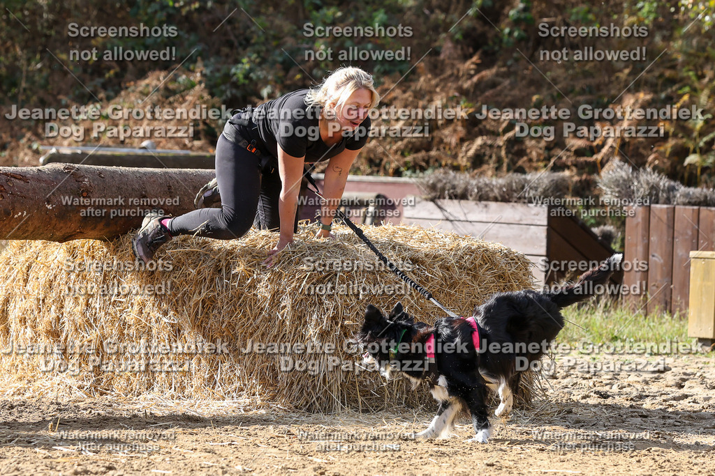 Dog Paparazzi - Strongdog 10-25-5815 | Dog Paparazzi Jeanette Grottendiek Fotografie & Videografie - Realisiert mit Pictrs.com