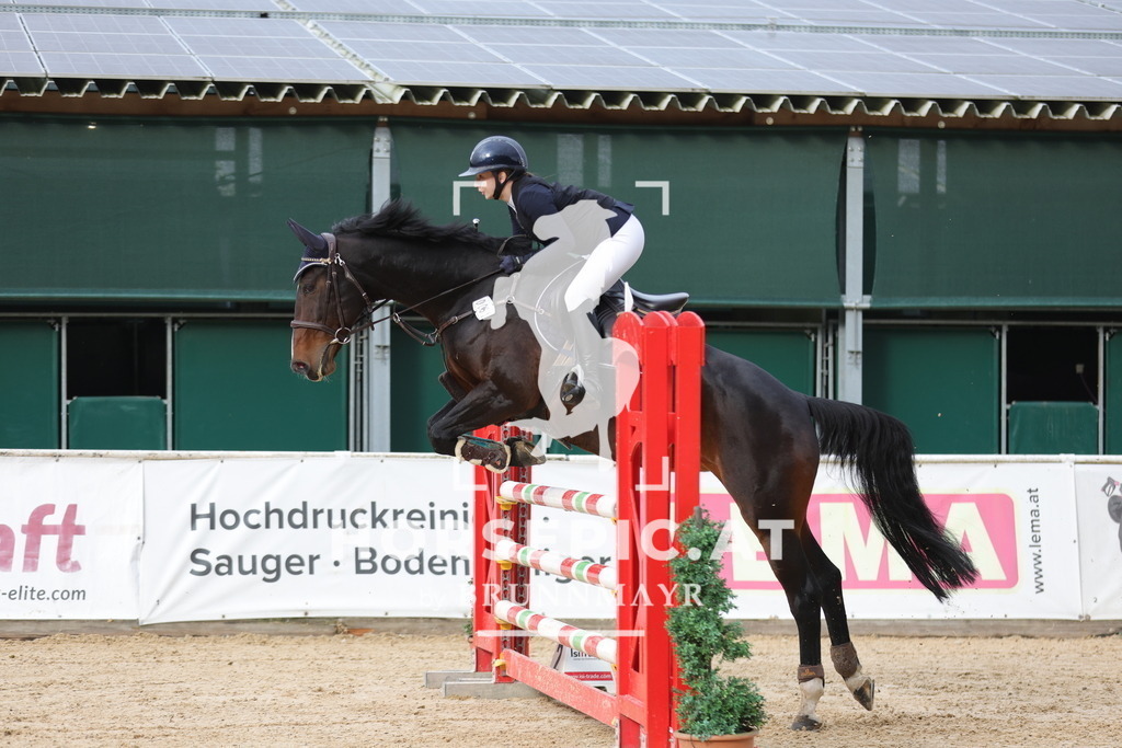 0P6A3769 | Willkommen bei Brunnmayr - Design & Fotografie – Ihrem Spezialisten für Reitturniere und Pferdeveranstaltungen in Oberösterreich, Salzburg und Bayern! Seit über 17 Jahren sind wir leidenschaftlich dabei.
