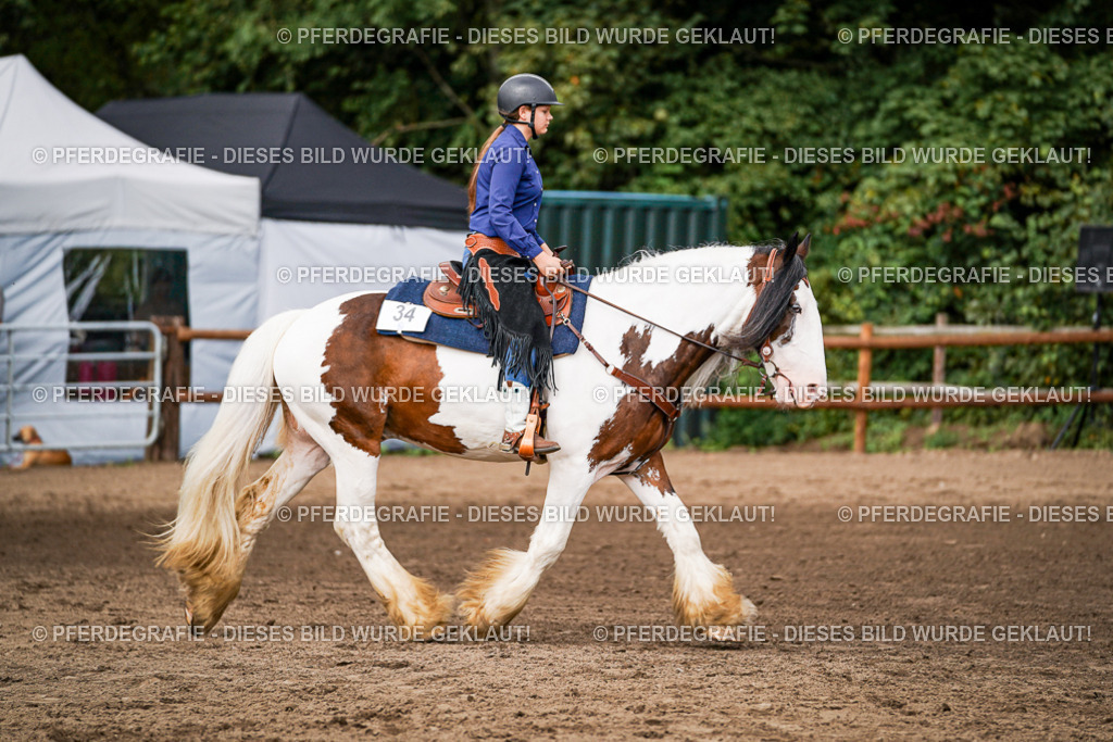 DSC07663 | Pferdegrafie