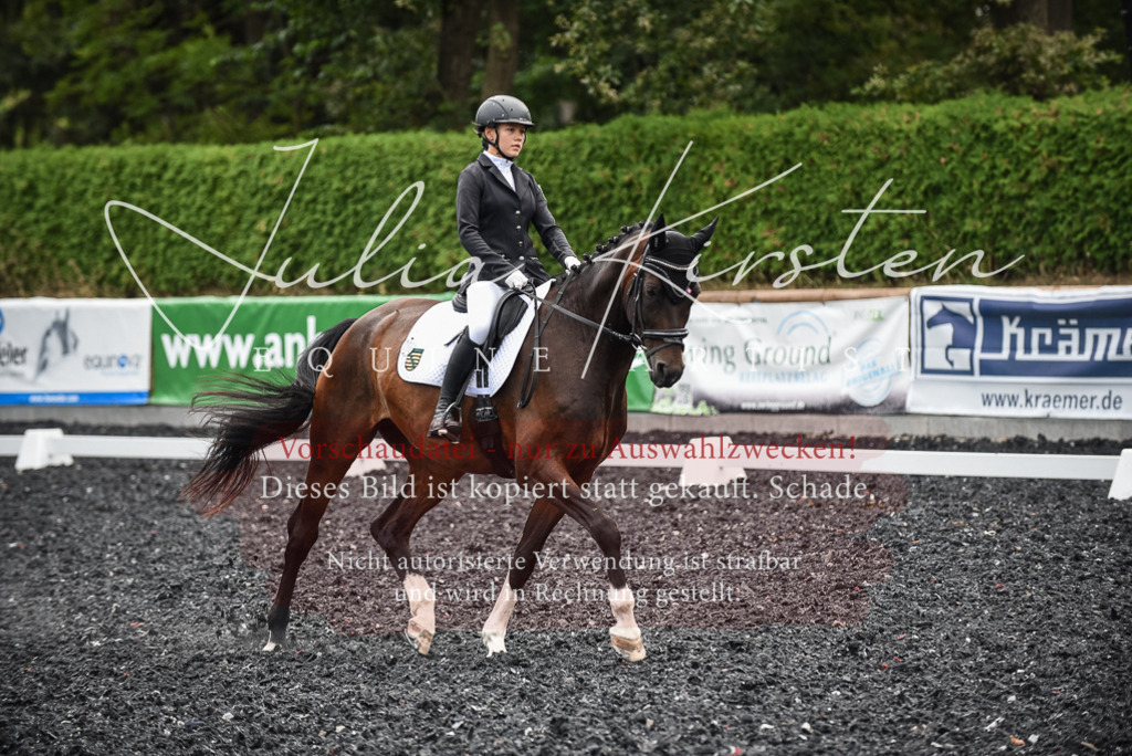 DSC_4559 | Pferde- und Turnierfotografie in Westsachsen. Pferdeportraits, Auftragszeichnungen und intuitive Kunst.