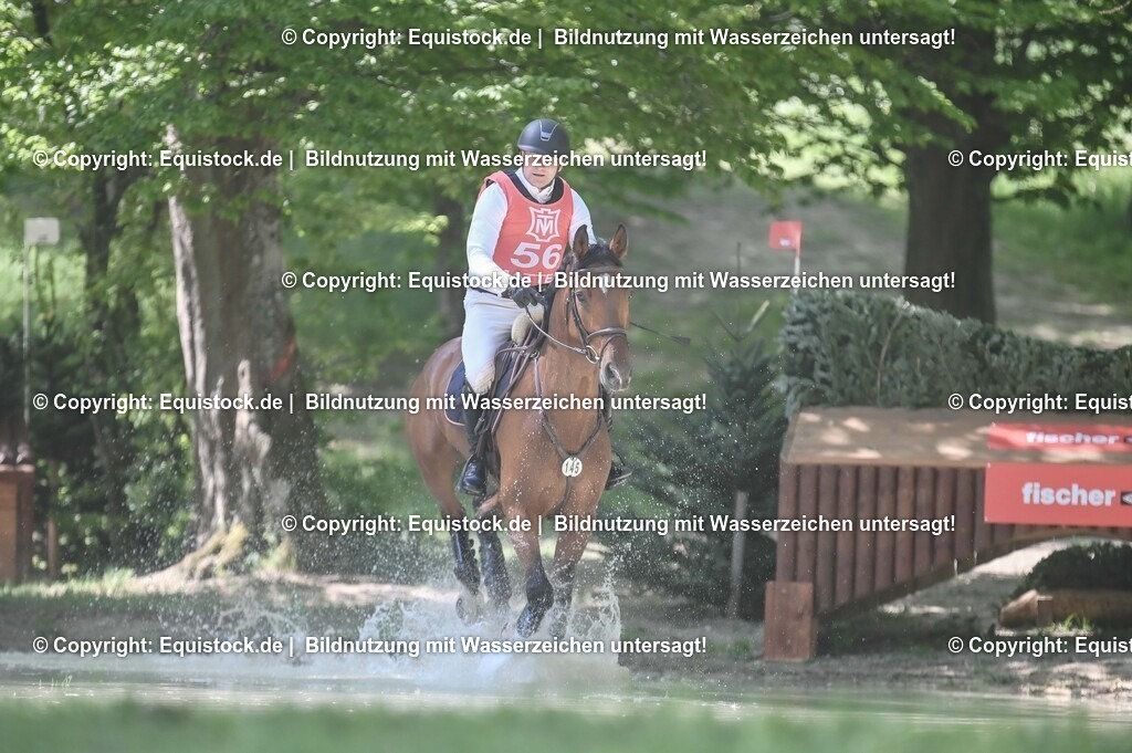 20250517_CCI2_Gelände_1459 | Foto: Thomas Hartig