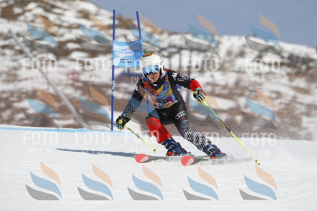 _U3G0936 | holidayphoto