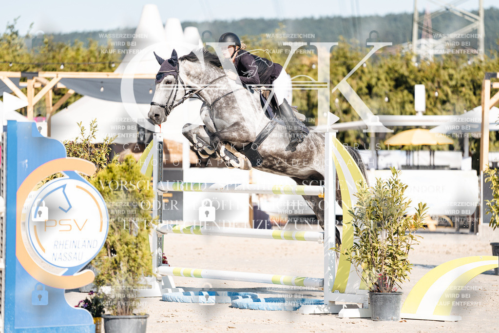 CK904675 | Turnierfotografie Pferdefotografie Trier Rheinland-Pfalz Pferdesport Reitsport Tierfotografie Sportfotografie Pferdevideo Pferdevideografie Equestrianvideography equestrianphotography  - Realisiert mit Pictrs.com
