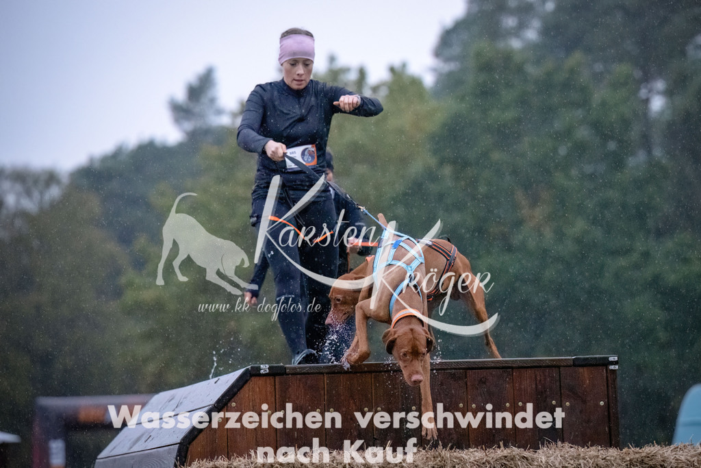 0828-_ZZ91354-Bearbeitet | kk-dogfotos