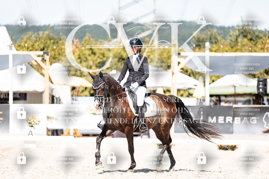 CK909591 | Turnierfotografie Pferdefotografie Trier Rheinland-Pfalz Pferdesport Reitsport Tierfotografie Sportfotografie Pferdevideo Pferdevideografie Equestrianvideography equestrianphotography  - Realisiert mit Pictrs.com