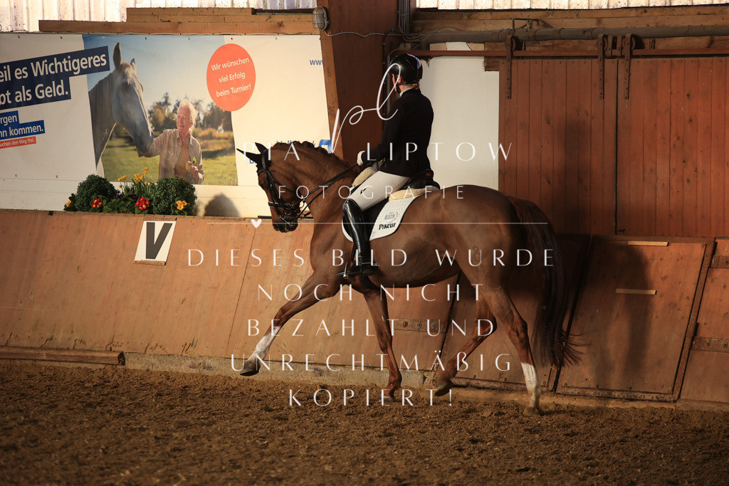 IMGT0385 | pl-fotografie