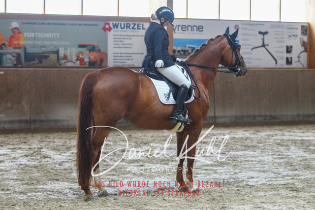 DKP44800 | Turniersportfotografie; Pferdefotografie; Dressurfotografie