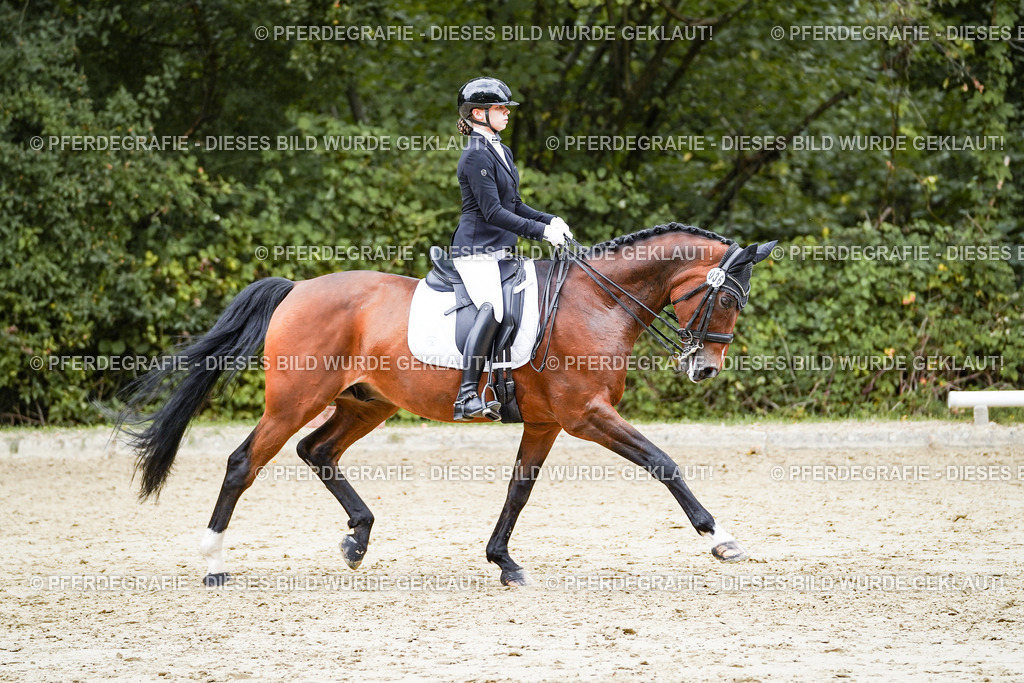 DSC07740 | Pferdegrafie