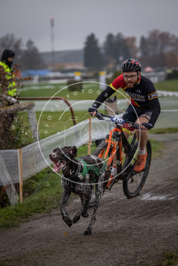CaniXpix_0L8A1622 | Hundefotografie, Tierfotograf, Pfotenfotografie, Fotoshooting Hund, Hunde Portrait, Hundesport, Hundeportraits, Heideshooting, Hunde, Sportfotograf, Hundefotograf, Turnierhundsport, THS,  - Realisiert mit Pictrs.com