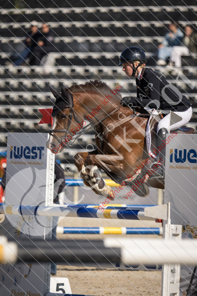 IMG_3438 | Sport-, Event- und Tierfotos in Profiqualität. Einfach auswählen, bestellen und herunterladen. Dein Moment – perfekt festgehalten.
