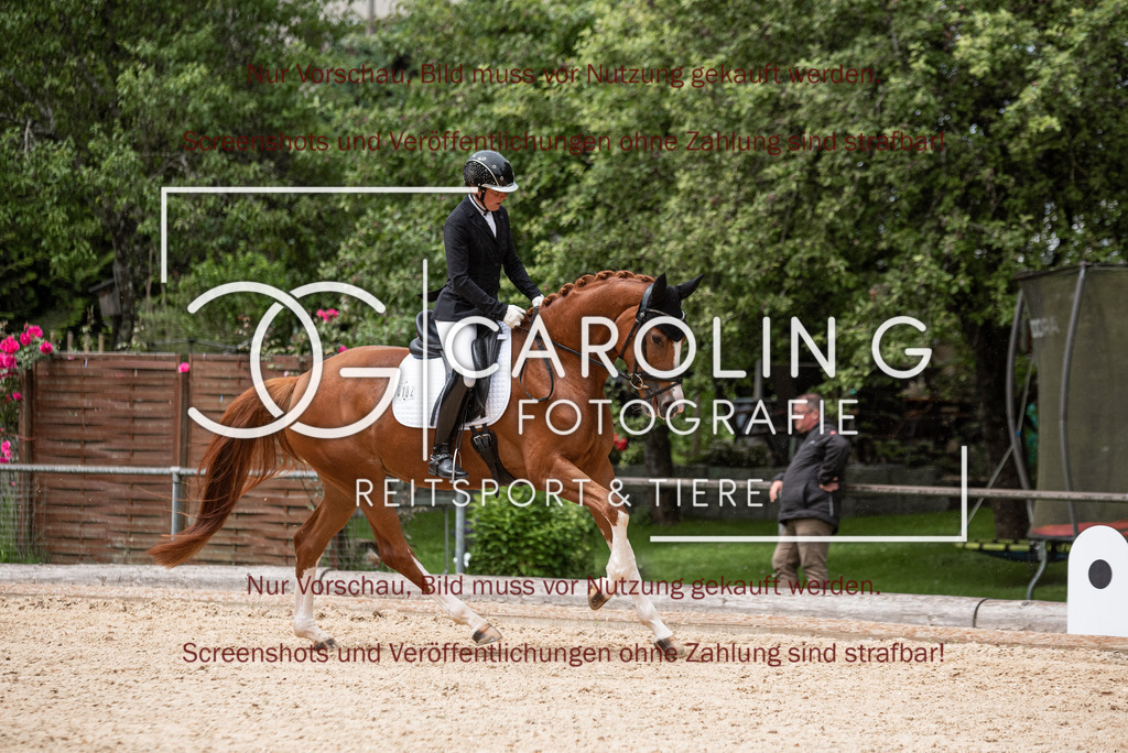 DSC_3129 | Turnierfotografin Carolin Gieschke,Reitsport Turnierfotografie Carolin G Fotografie | Turnierfotos aus Kirchheim/Teck, Esslingen, Stuttgart und dem Bodenseekreis