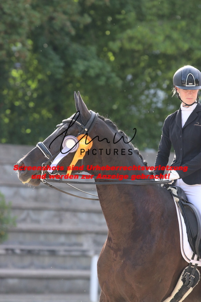 IMG_5860 | lmwpictures - Realisiert mit Pictrs.com