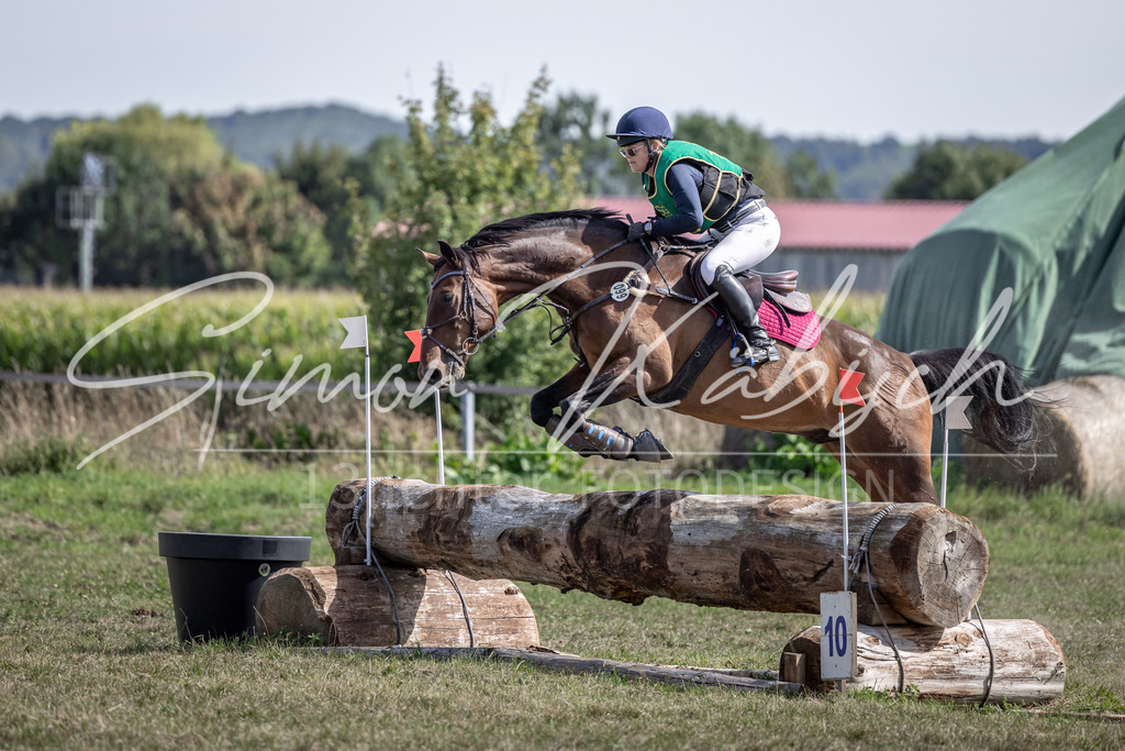 20250907-_3LI1423 | Tierfotografie Pferde, Hunde, Katzen, Haustiere.
Turnierfotografie Reitturniere, Reiten, Springreiten, Dressur in Hanau, dem Main-Kinzig-Kreis und dem Rhein-Main- Gebiet um Frankfurt