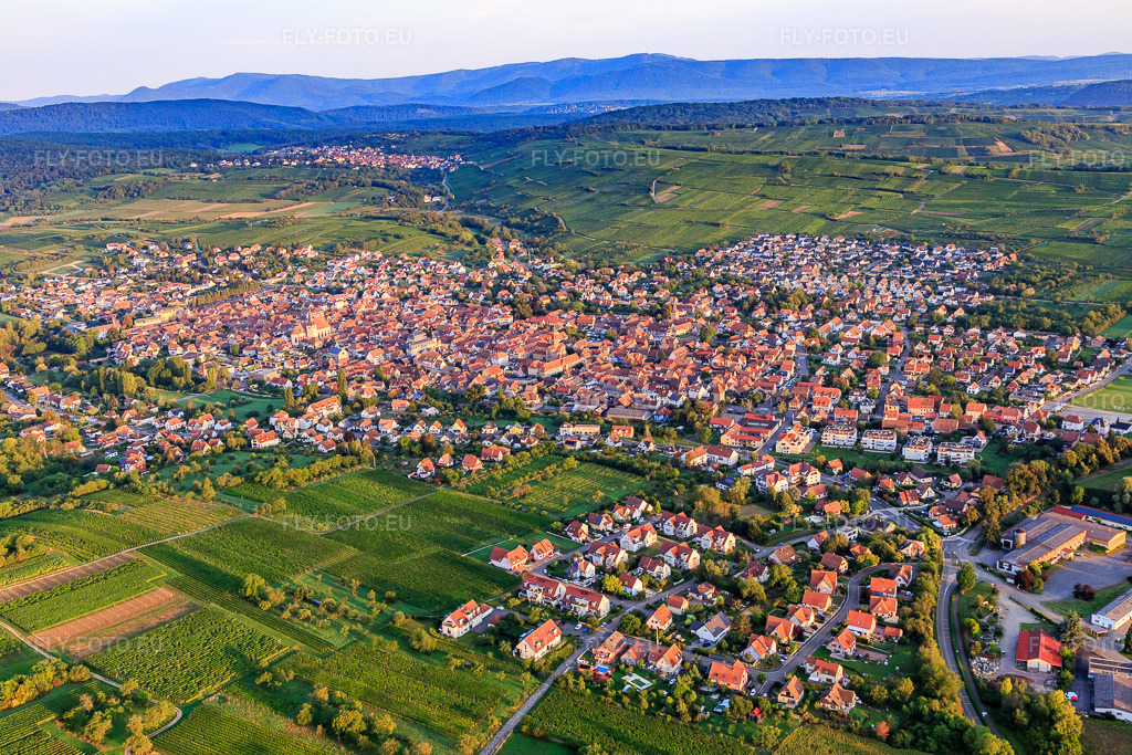 Vue aérienne: Vue de la ville depuis le sud-est à Rosheim dans le département Bas Rhin, France – .Photo: IMG_137982.jpg prise le 19/08/2023 par Werner Riehm/FLY-FOTO.eu – Résolution de l'original: 5472 x 3648 px