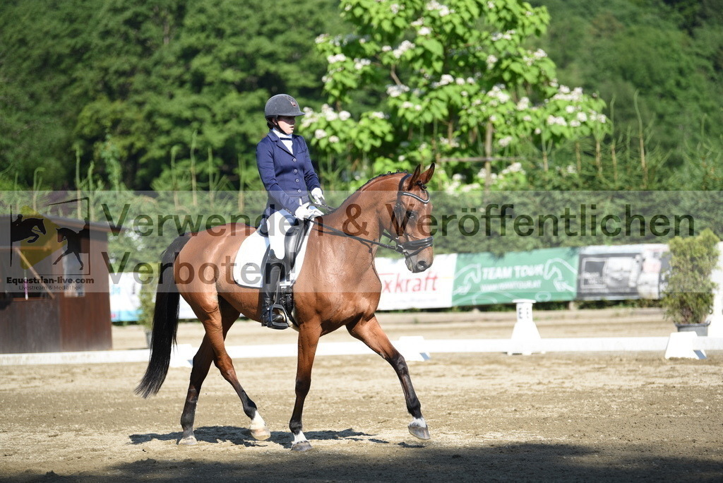 DSC_7184 | equestrian-live-com