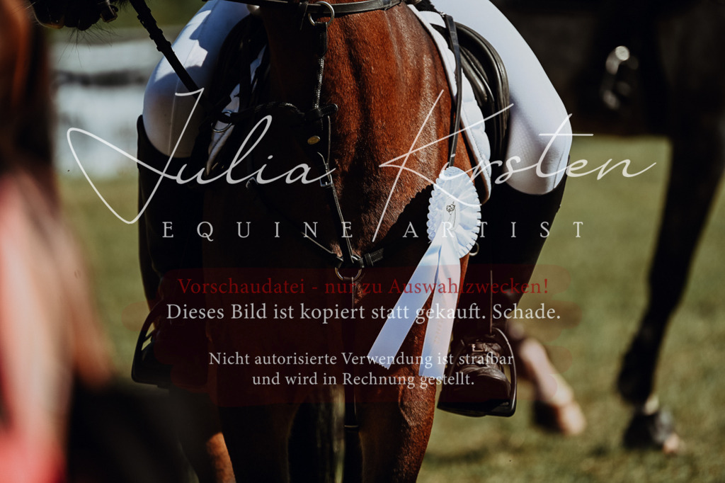 DSC_6982 | Pferde- und Turnierfotografie in Westsachsen. Pferdeportraits, Auftragszeichnungen und intuitive Kunst.