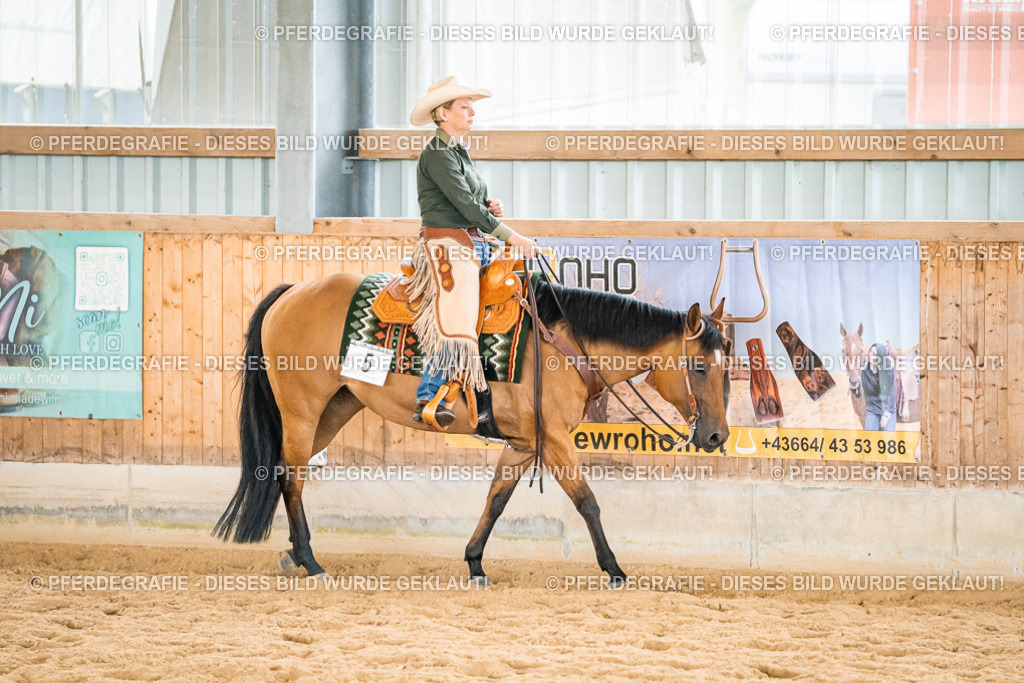 DSC01016 | Pferdegrafie