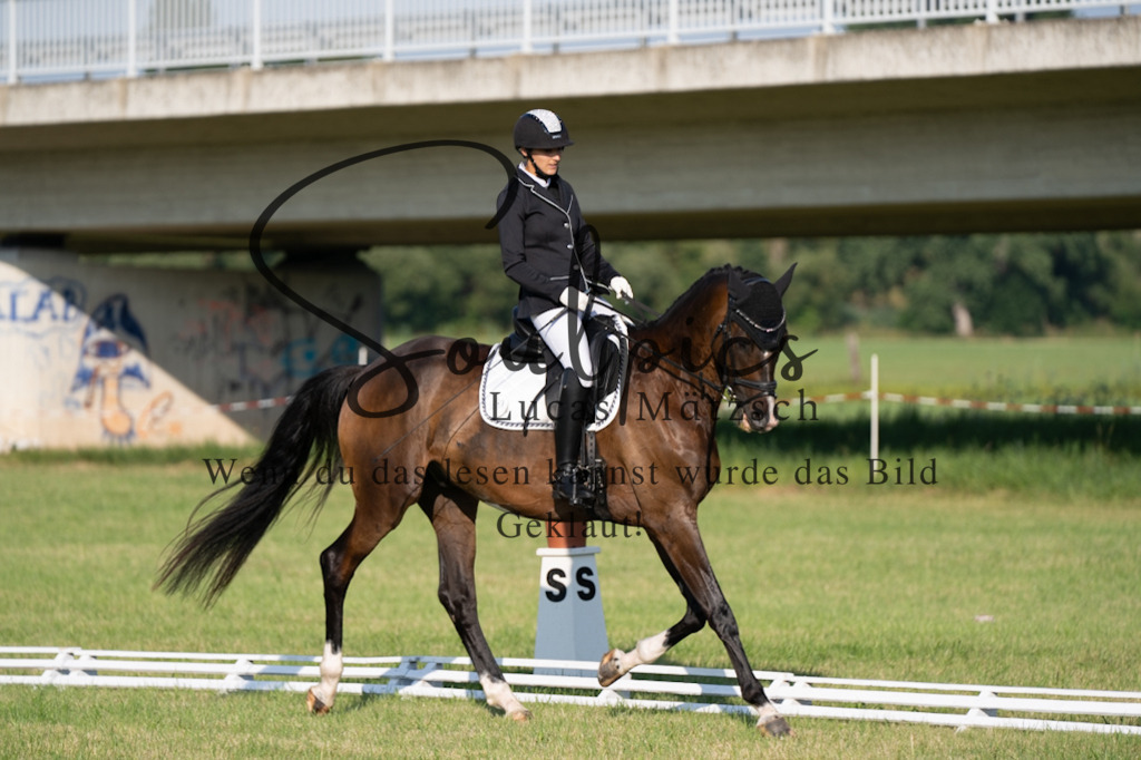 A7V09227 | Pferdefotograf